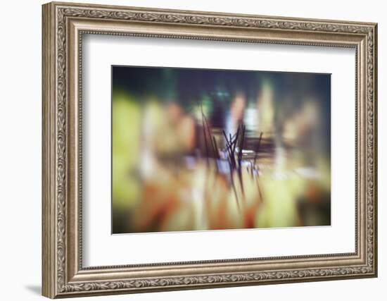 Pond life-Valda Bailey-Framed Photographic Print