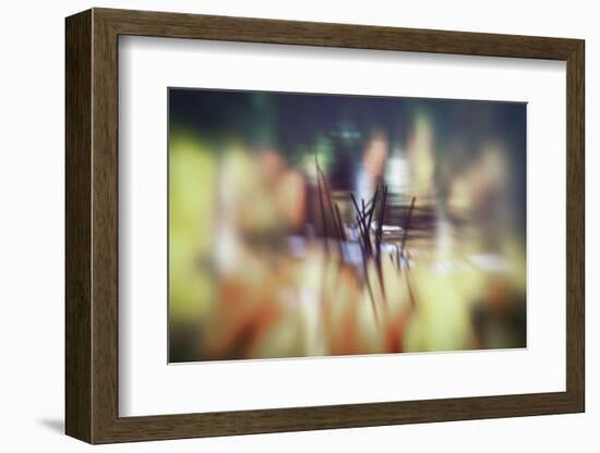 Pond life-Valda Bailey-Framed Photographic Print