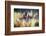 Pond life-Valda Bailey-Framed Photographic Print