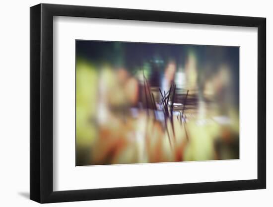 Pond life-Valda Bailey-Framed Photographic Print