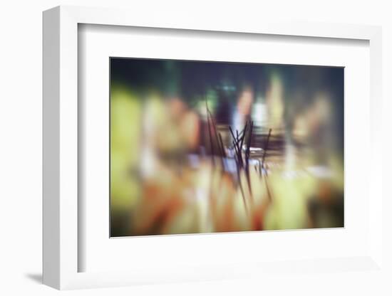 Pond life-Valda Bailey-Framed Photographic Print