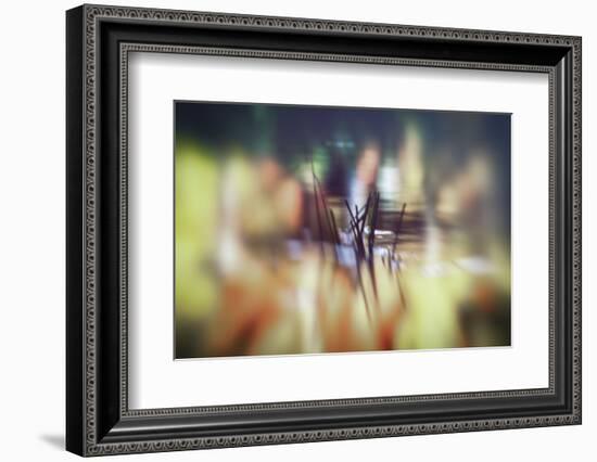 Pond life-Valda Bailey-Framed Photographic Print