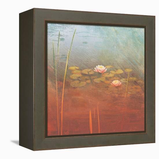 Pond Lilies II-Amy Melious-Framed Stretched Canvas