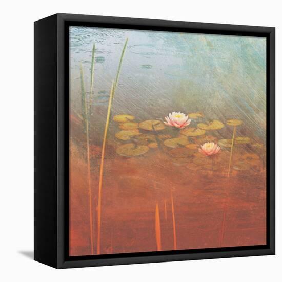 Pond Lilies II-Amy Melious-Framed Stretched Canvas