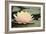 Pond Lily Peach Lily in Pads-Jeff Rasche-Framed Photographic Print