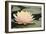 Pond Lily Peach Lily in Pads-Jeff Rasche-Framed Photographic Print