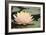 Pond Lily Peach Lily in Pads-Jeff Rasche-Framed Photographic Print