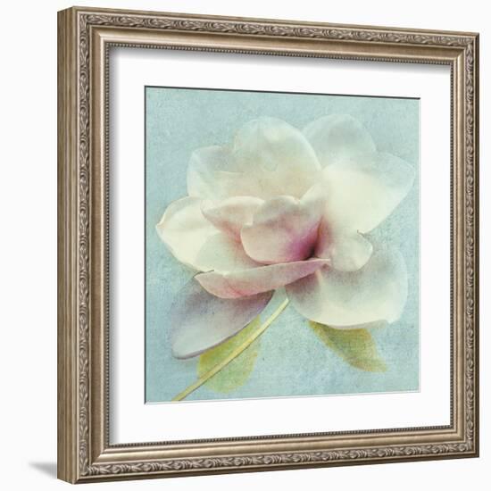 Pond Lily Sq-Amy Melious-Framed Art Print