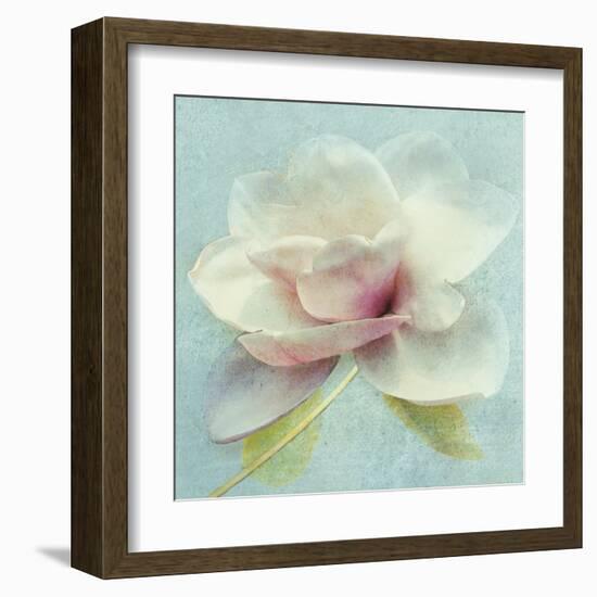 Pond Lily Sq-Amy Melious-Framed Art Print