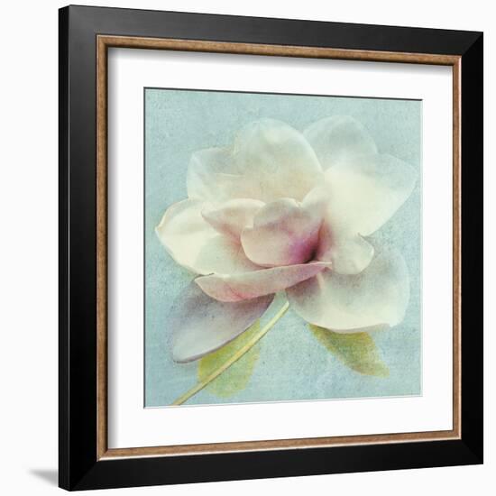 Pond Lily Sq-Amy Melious-Framed Art Print