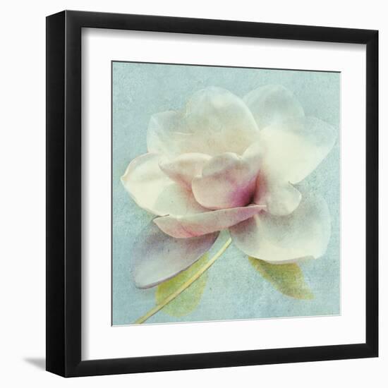 Pond Lily Sq-Amy Melious-Framed Art Print