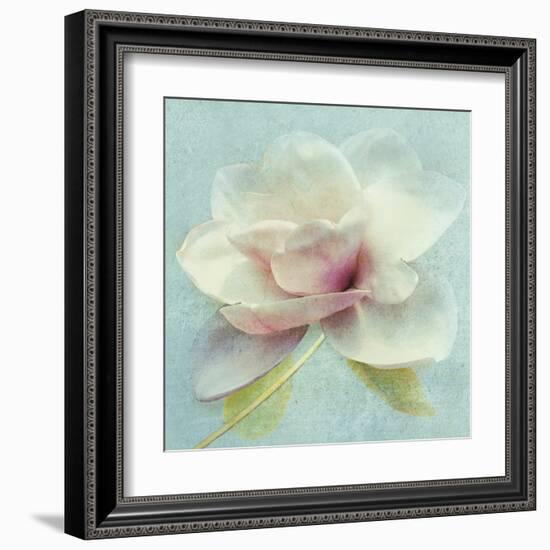 Pond Lily Sq-Amy Melious-Framed Art Print