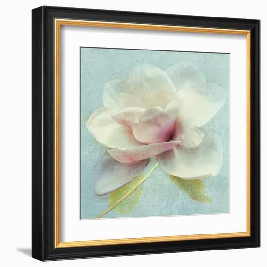 Pond Lily Sq-Amy Melious-Framed Art Print