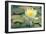 Pond Lily-Jeff Rasche-Framed Photographic Print