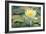 Pond Lily-Jeff Rasche-Framed Photographic Print