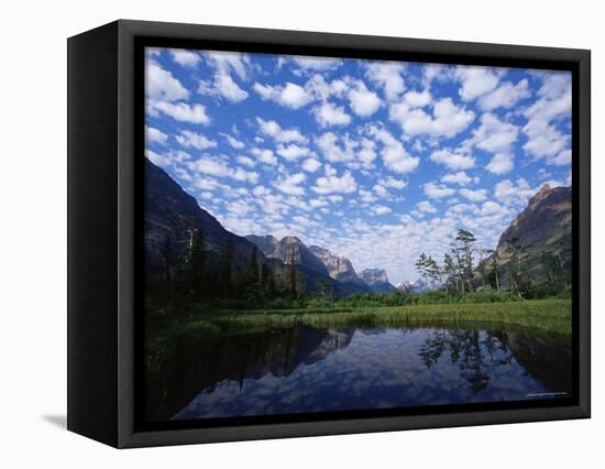 Pond Next to St. Mary Lake, Glacier National Park, Montana, United States of America, North America-James Hager-Framed Premier Image Canvas