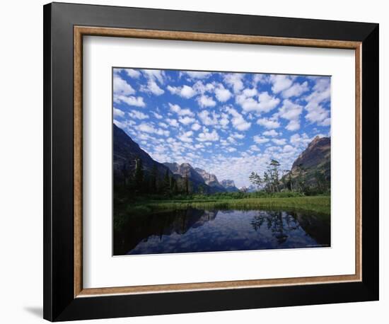 Pond Next to St. Mary Lake, Glacier National Park, Montana, United States of America, North America-James Hager-Framed Photographic Print