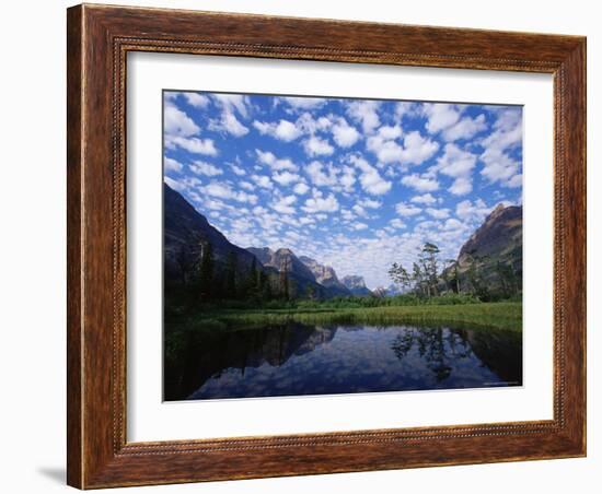 Pond Next to St. Mary Lake, Glacier National Park, Montana, United States of America, North America-James Hager-Framed Photographic Print