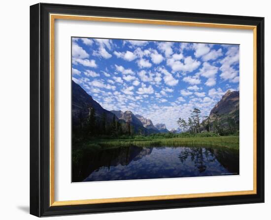 Pond Next to St. Mary Lake, Glacier National Park, Montana, United States of America, North America-James Hager-Framed Photographic Print