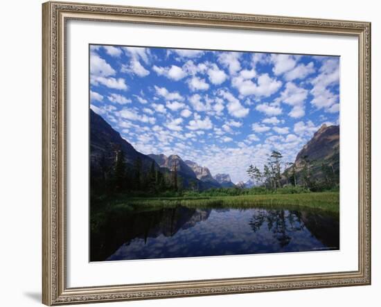 Pond Next to St. Mary Lake, Glacier National Park, Montana, United States of America, North America-James Hager-Framed Photographic Print