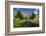 Pond, Reeds and Poplar Trees, Bannockburn, Central Otago, South Island, New Zealand-David Wall-Framed Photographic Print