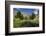 Pond, Reeds and Poplar Trees, Bannockburn, Central Otago, South Island, New Zealand-David Wall-Framed Photographic Print