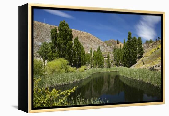 Pond, Reeds and Poplar Trees, Bannockburn, Central Otago, South Island, New Zealand-David Wall-Framed Premier Image Canvas