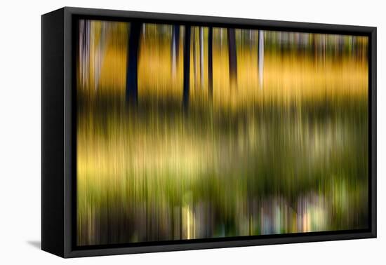 Pond Reflection-Ursula Abresch-Framed Premier Image Canvas