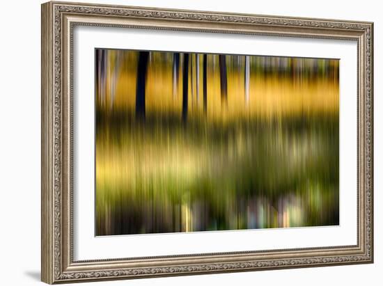 Pond Reflection-Ursula Abresch-Framed Photographic Print