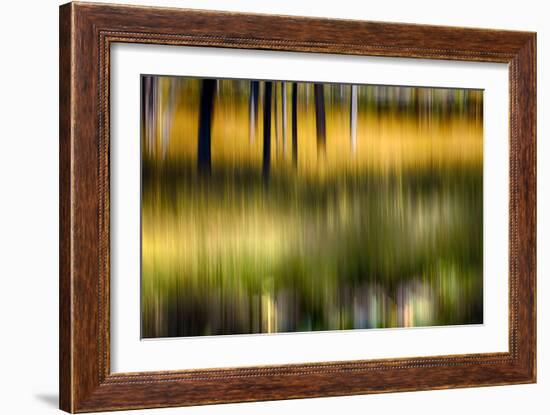 Pond Reflection-Ursula Abresch-Framed Photographic Print