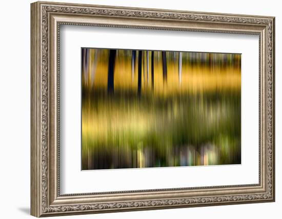 Pond Reflection-Ursula Abresch-Framed Photographic Print