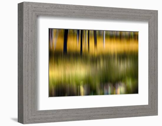 Pond Reflection-Ursula Abresch-Framed Photographic Print