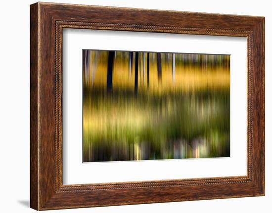 Pond Reflection-Ursula Abresch-Framed Photographic Print