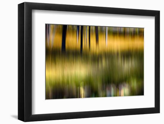 Pond Reflection-Ursula Abresch-Framed Photographic Print