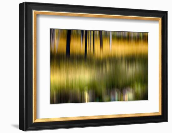 Pond Reflection-Ursula Abresch-Framed Photographic Print