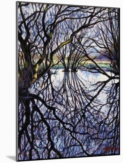 Pond Reflections, 2009-Tilly Willis-Mounted Giclee Print