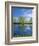 Pond Reflects Aspen & Cirrus Clouds at Sunrise on Steens Mountain, Oregon, USA-Scott T^ Smith-Framed Photographic Print