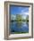 Pond Reflects Aspen & Cirrus Clouds at Sunrise on Steens Mountain, Oregon, USA-Scott T^ Smith-Framed Photographic Print