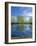 Pond Reflects Aspen & Cirrus Clouds at Sunrise on Steens Mountain, Oregon, USA-Scott T^ Smith-Framed Photographic Print