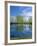 Pond Reflects Aspen & Cirrus Clouds at Sunrise on Steens Mountain, Oregon, USA-Scott T^ Smith-Framed Photographic Print