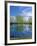 Pond Reflects Aspen & Cirrus Clouds at Sunrise on Steens Mountain, Oregon, USA-Scott T^ Smith-Framed Photographic Print