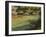 Pond Shadows-Michael Budden-Framed Giclee Print