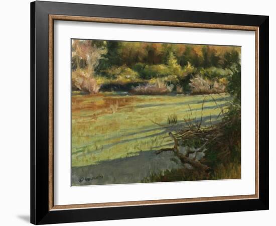 Pond Shadows-Michael Budden-Framed Giclee Print