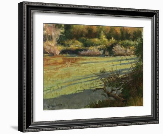 Pond Shadows-Michael Budden-Framed Giclee Print