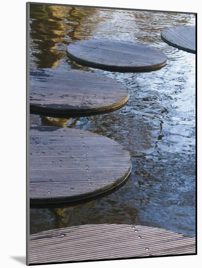 Pond Stepping Stones-Anna Miller-Mounted Photographic Print