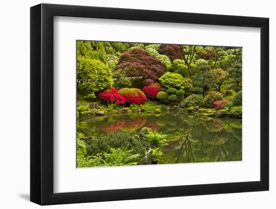 Pond, Strolling Garden, Portland Japanese Garden, Oregon, Usa-Michel Hersen-Framed Photographic Print