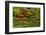 Pond, Strolling Garden, Portland Japanese Garden, Oregon, Usa-Michel Hersen-Framed Photographic Print