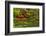 Pond, Strolling Garden, Portland Japanese Garden, Oregon, Usa-Michel Hersen-Framed Photographic Print