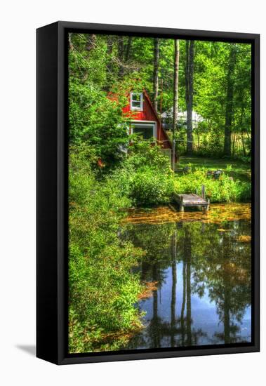 Pond Vertical with a Frame-Robert Goldwitz-Framed Premier Image Canvas