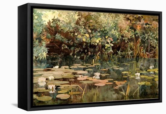 Pond with Water Lilies, Early 1890s-Elena Dmitryevna Polenova-Framed Premier Image Canvas